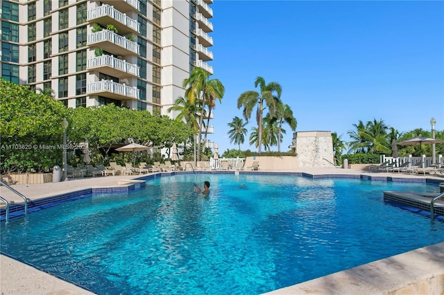 view of swimming pool