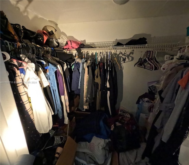 view of spacious closet