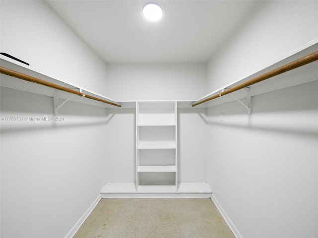 walk in closet featuring carpet flooring