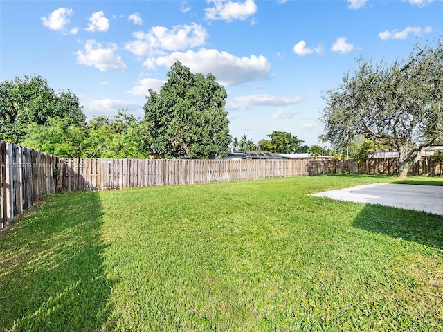 view of yard featuring a patio