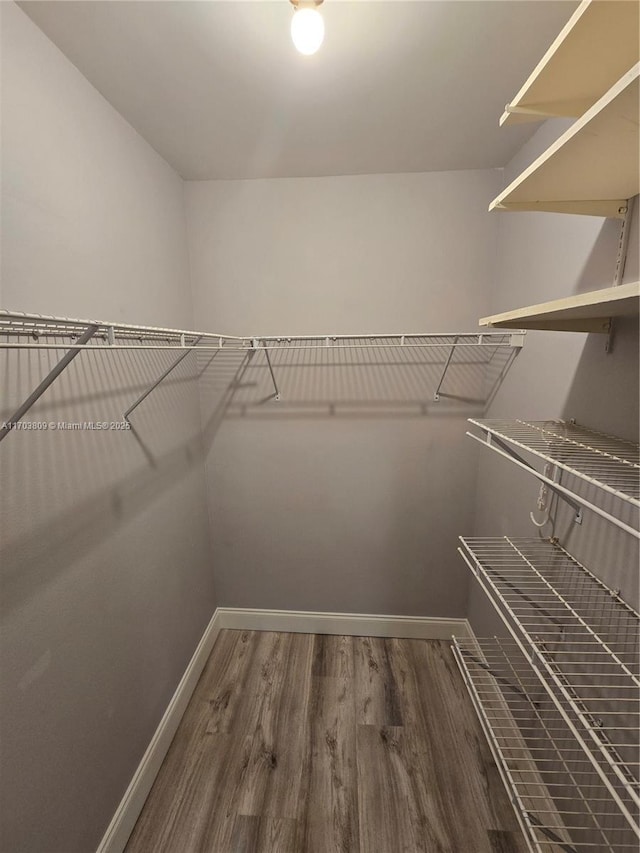 spacious closet featuring dark hardwood / wood-style flooring