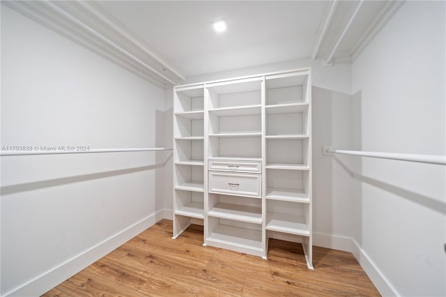 spacious closet with wood-type flooring