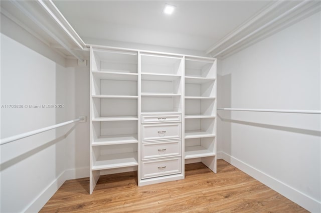 spacious closet with light hardwood / wood-style flooring