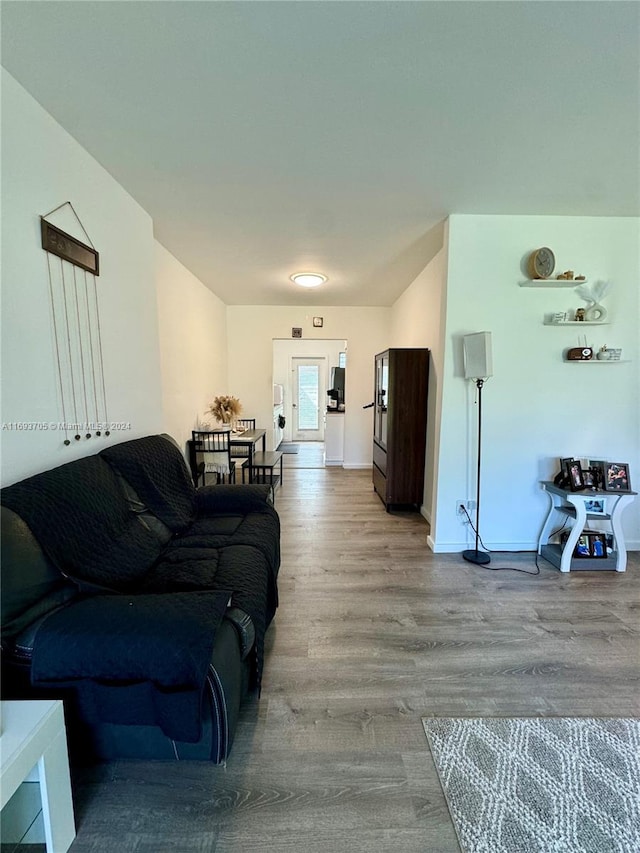 living room featuring light hardwood / wood-style floors