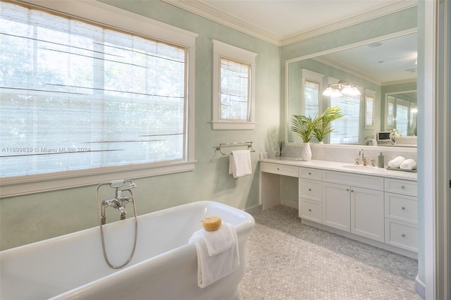 bathroom featuring vanity, a bathtub, and crown molding