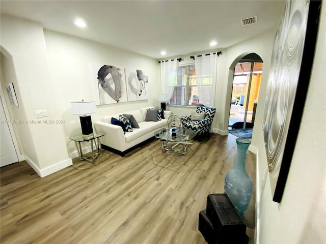 living room with wood-type flooring