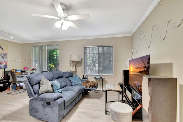 living room with light wood-type flooring, plenty of natural light, crown molding, and ceiling fan