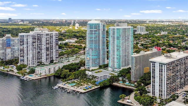 aerial view with a water view