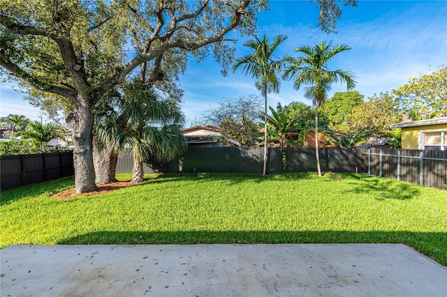 view of yard featuring a patio