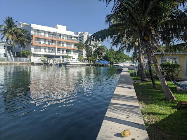 dock area with a water view