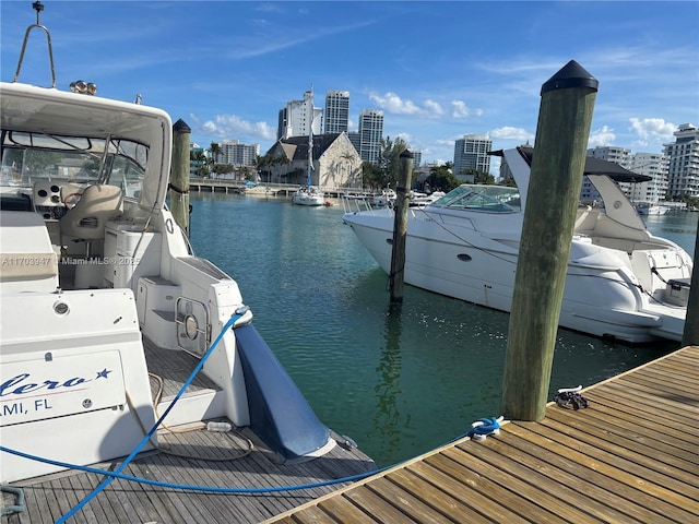 dock area with a water view