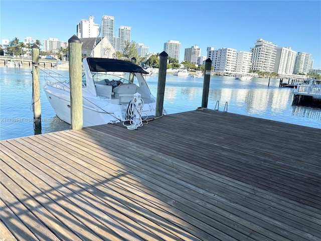 dock area featuring a water view