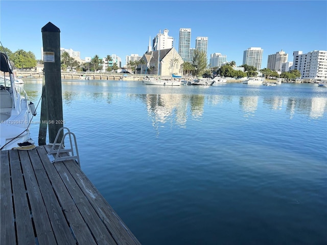 dock area with a water view