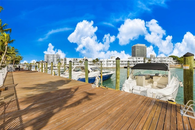 dock area with a water view