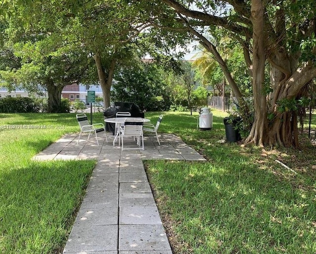 view of yard featuring a patio