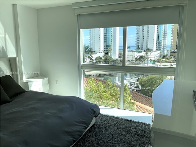 bedroom with multiple windows