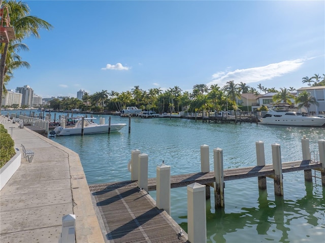 dock area with a water view