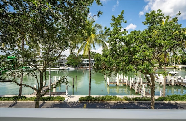 property view of water featuring a boat dock