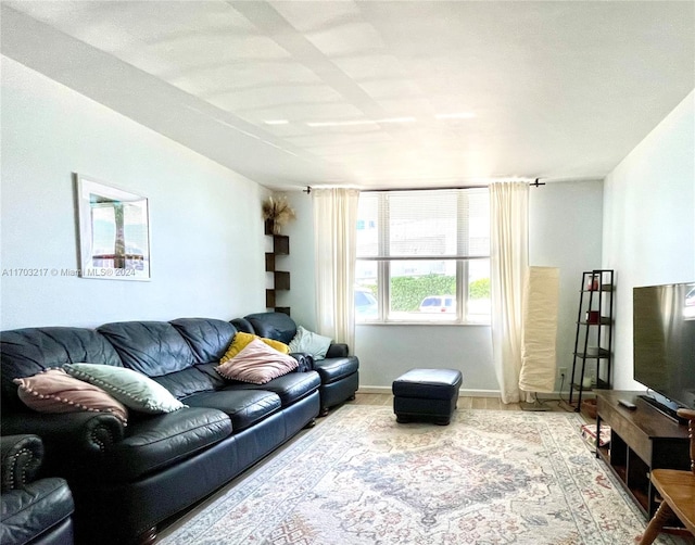 living room featuring hardwood / wood-style floors