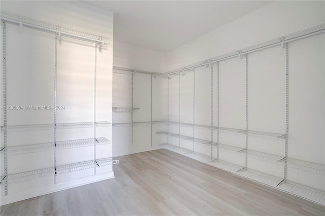 walk in closet with wood-type flooring