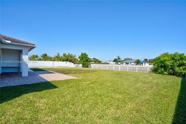 view of yard featuring a patio