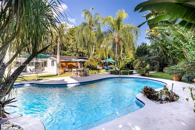 view of swimming pool with a patio