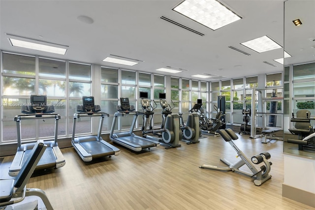 gym with wood finished floors and floor to ceiling windows