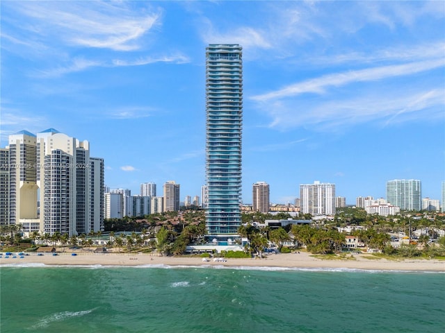 property view of water featuring a view of the beach