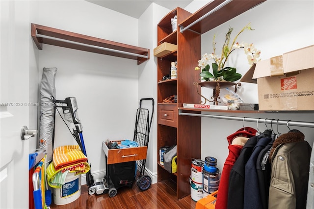 spacious closet featuring dark wood-type flooring