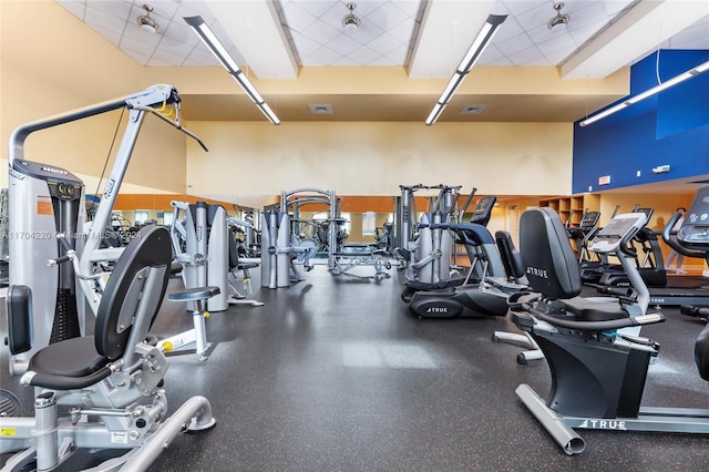 gym featuring a towering ceiling