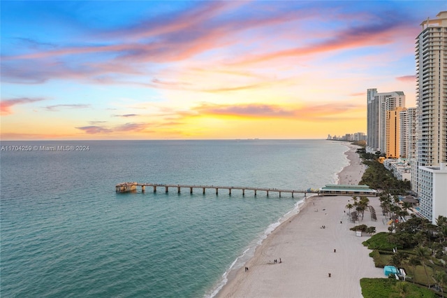 property view of water featuring a view of the beach