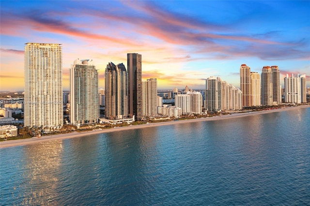 view of city featuring a water view