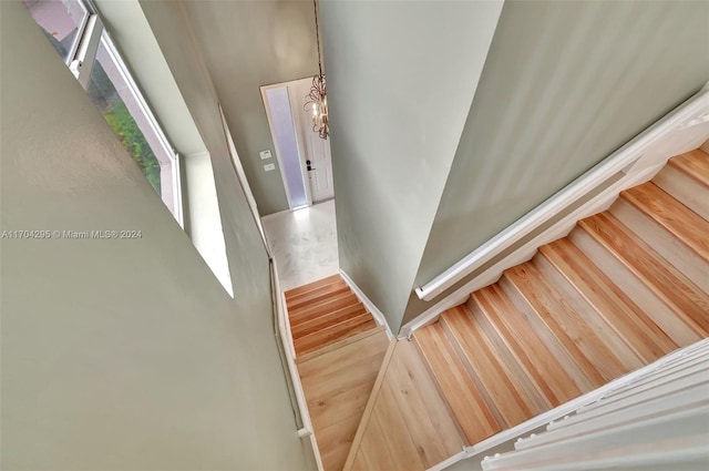 staircase featuring hardwood / wood-style floors