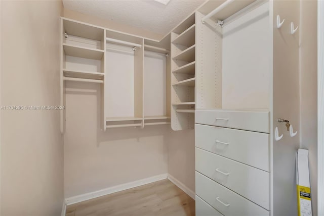 walk in closet with light hardwood / wood-style floors