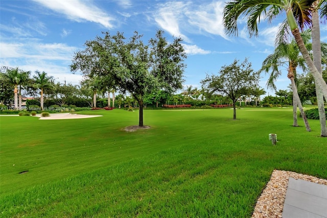 view of home's community with a lawn