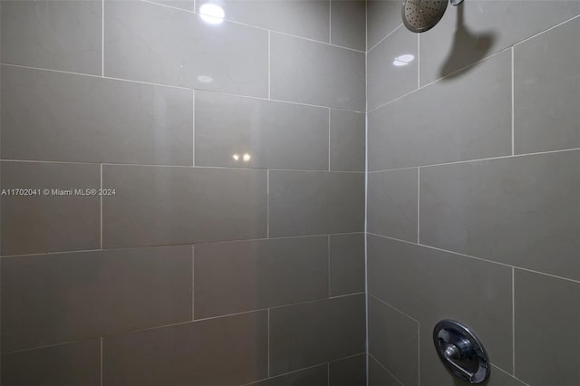 room details with tiled shower