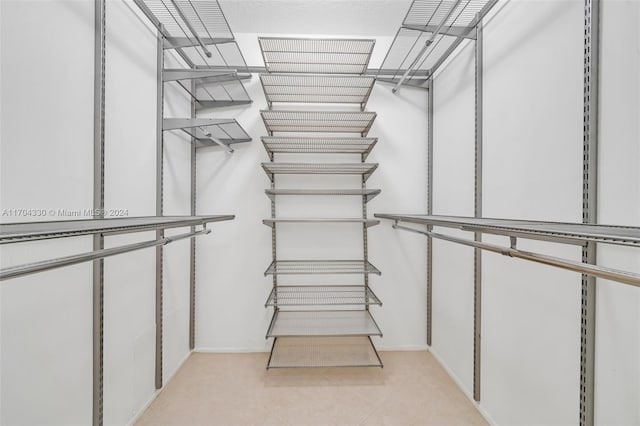 view of spacious closet