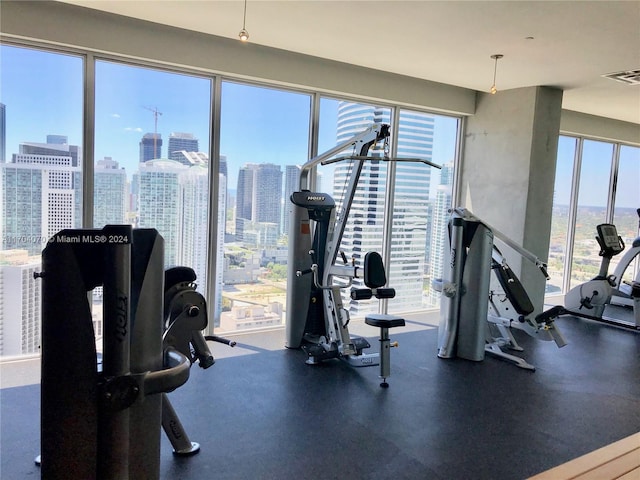 exercise room with a healthy amount of sunlight