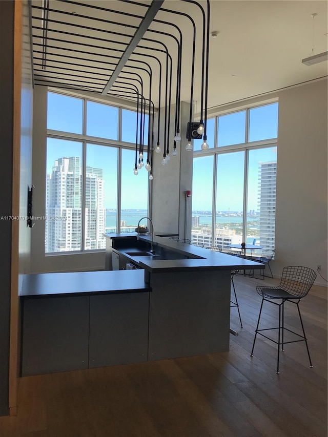 kitchen with hardwood / wood-style floors and sink