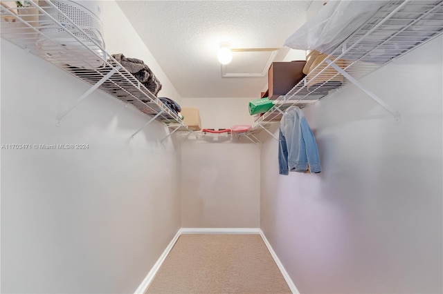 spacious closet with carpet flooring