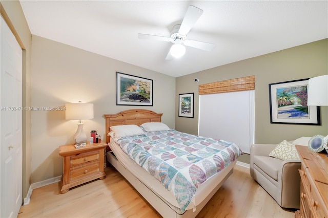 bedroom with ceiling fan, a closet, and light wood-type flooring