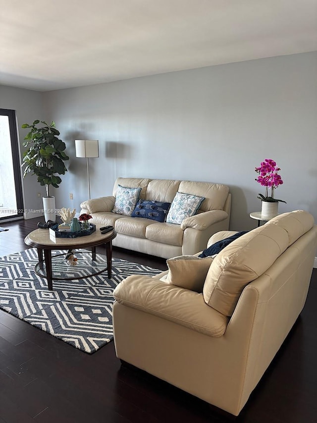 living room featuring dark wood-type flooring