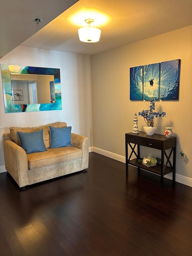 living area with dark hardwood / wood-style floors