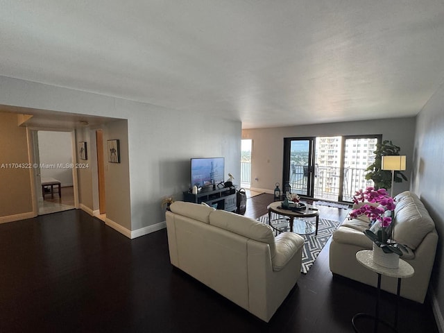 living room featuring dark hardwood / wood-style flooring