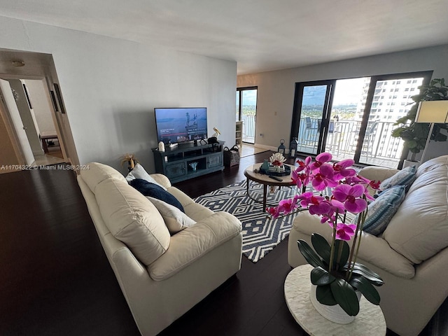 living room featuring dark hardwood / wood-style flooring