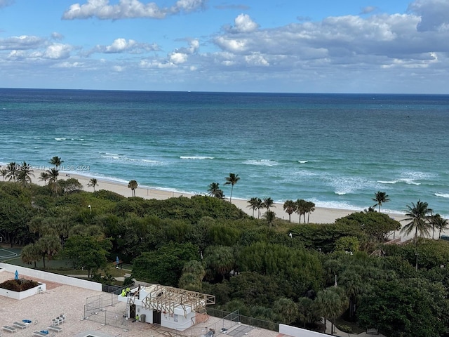 water view featuring a view of the beach