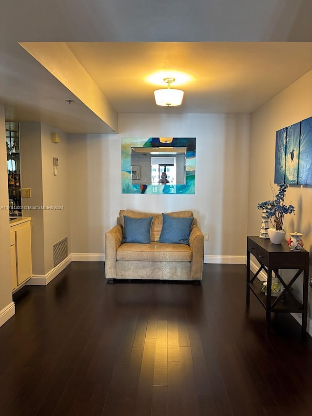 hall featuring dark wood-type flooring