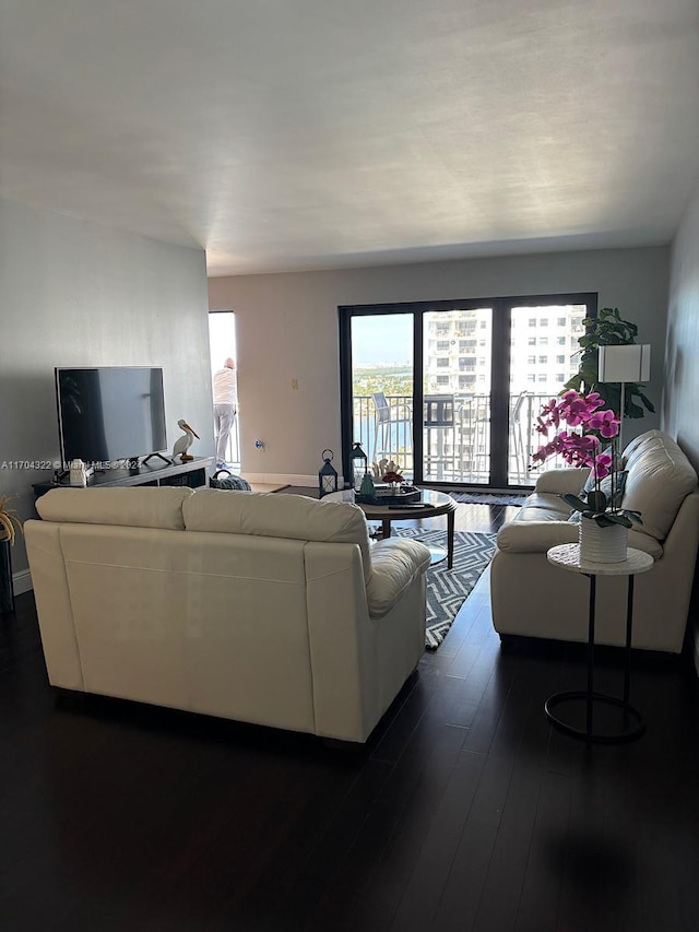 living room with dark wood-type flooring