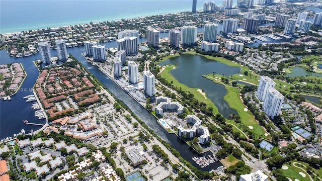 aerial view with a water view