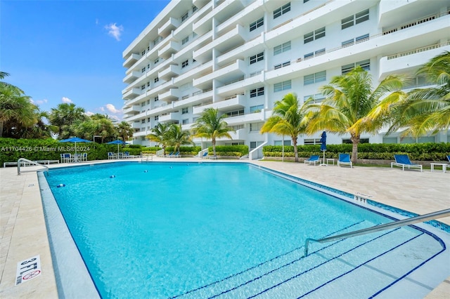 view of swimming pool featuring a patio area